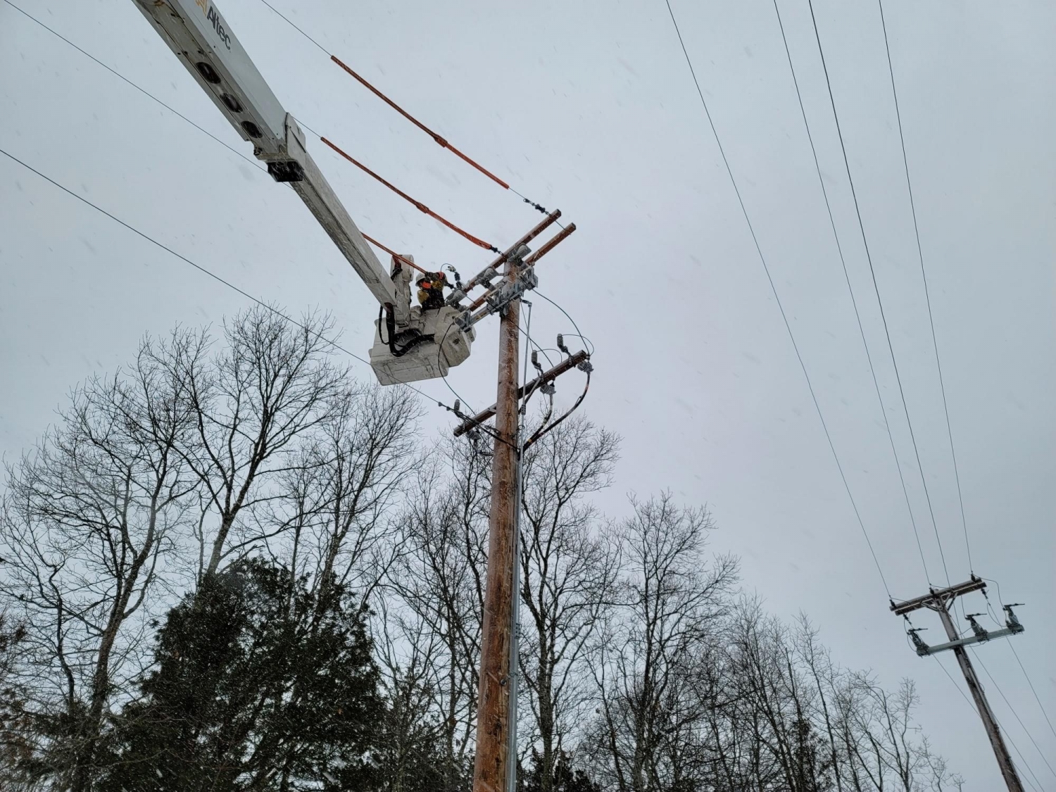 Services » Island Lighting and Power Systems » Electrical Contracting